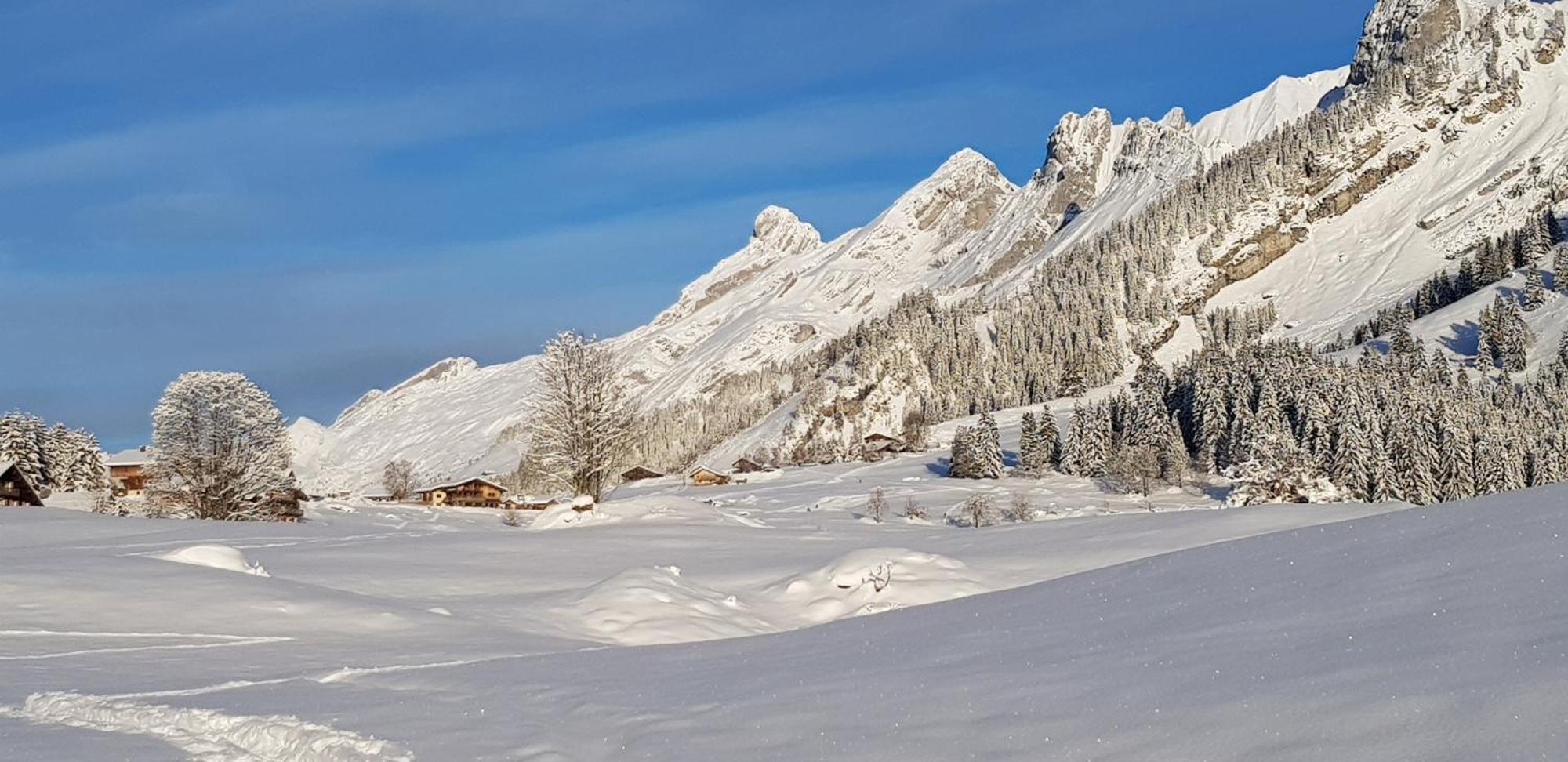 Appartement Cosy Face Aux Aravis Le Grand-Bornand Exterior foto
